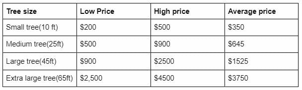 Cheapest time of year for tree removal